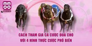 Cách Tham Gia Cá Cược Đua Chó Với 4 Hình Thức Cược Phổ Biến