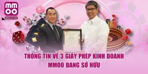 Thông Tin Về 3 Giấy Phép Kinh Doanh MMOO Đang Sở Hữu